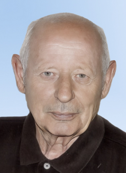 De Grandis Paolo
