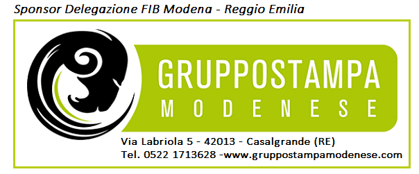 GRUPPO STAMPA