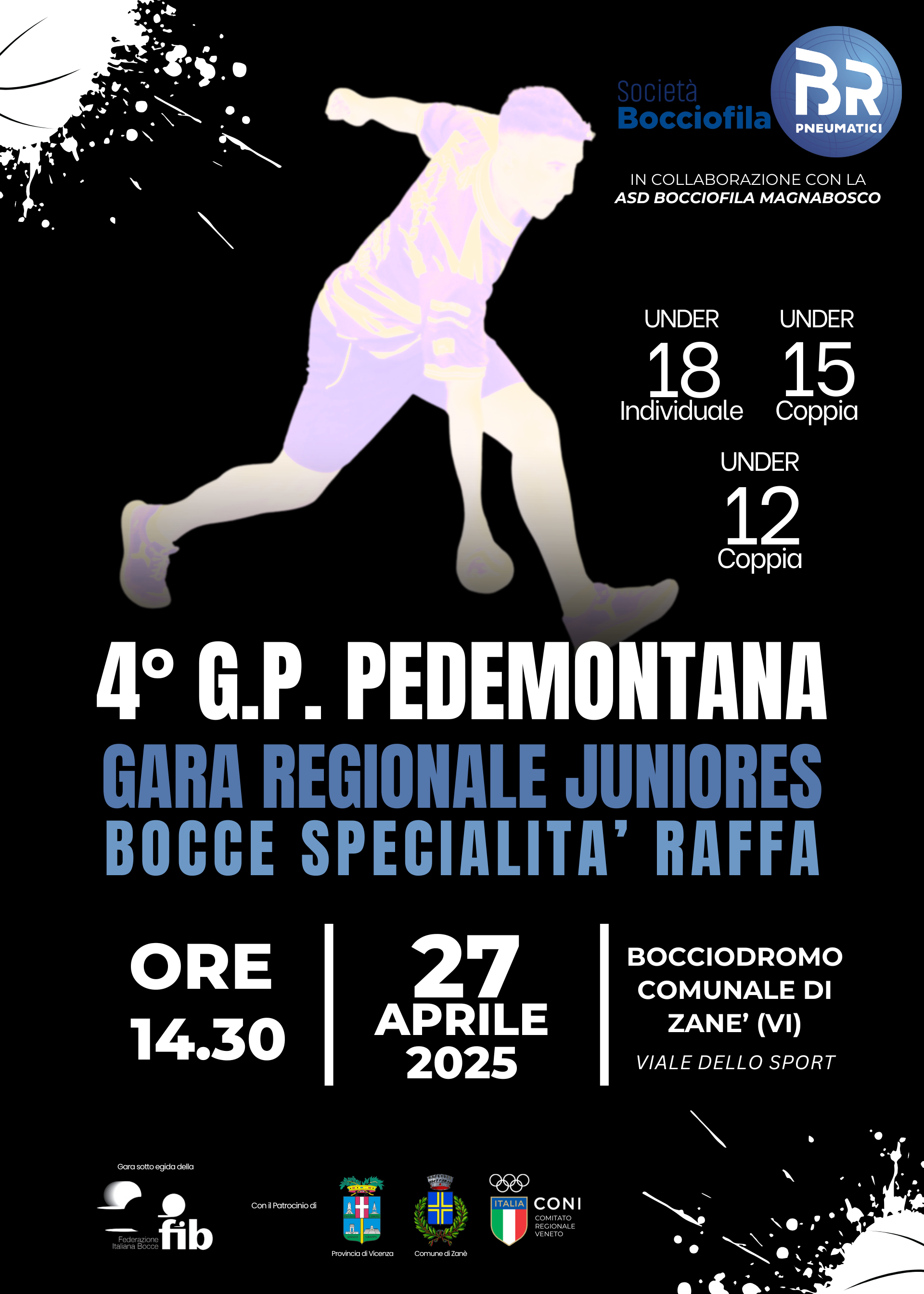 pedemontana_2025.png